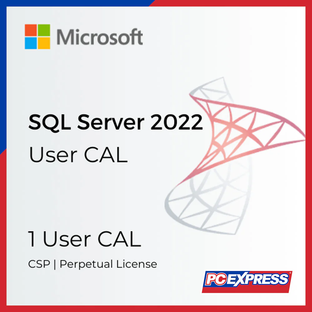 MICROSOFT SQL Server 2022 - 1 User CAL (DG7GMGF0MF3T_U)